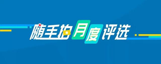 又颁奖啦 7月 天平杯 随手拍 获奖榜单 太阳信息网