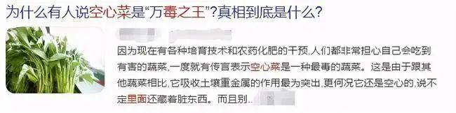空心菜被称为“毒王”？别被谣言欺骗了