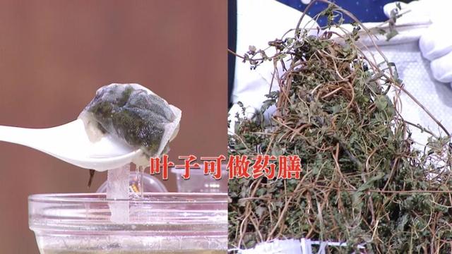 这类食材嘌呤高！一草一粥巧搭配，帮你排尿酸、缓痛风