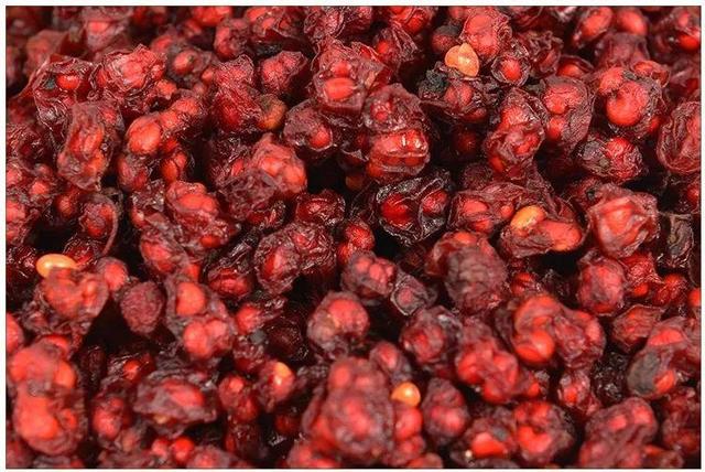 中草药：五味子