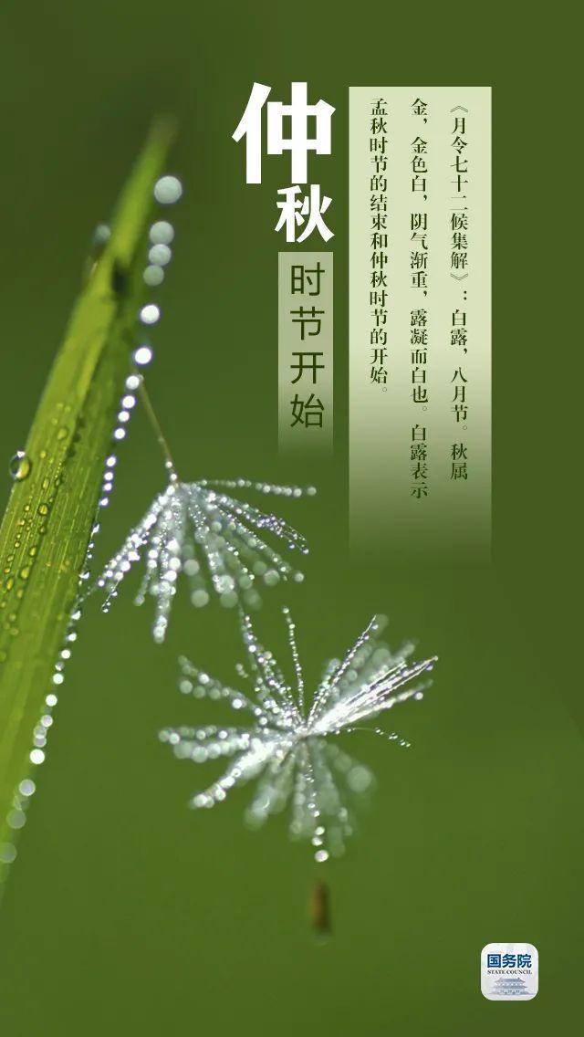 今日白露 | “露凝而白也”，仲秋时节开始了