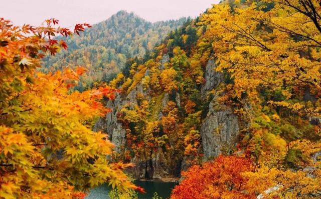 日本47個都道府縣 一縣一個最佳賞楓地點 Kks資訊網