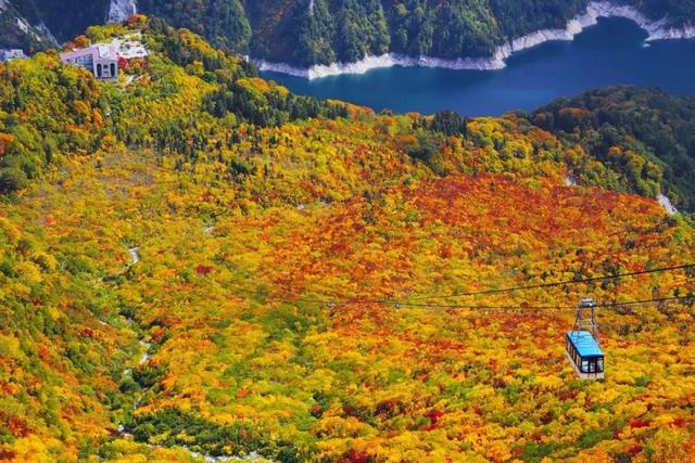 日本47個都道府縣 一縣一個最佳賞楓地點 Kks資訊網