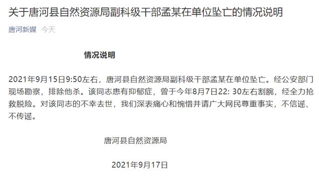 河南南阳一自然资源局副科级干部在单位坠亡，当地通报：排除他杀，曾患有抑郁症