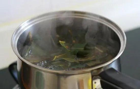 秋风起，咳嗽痰多？介绍一味岭南特色中草药