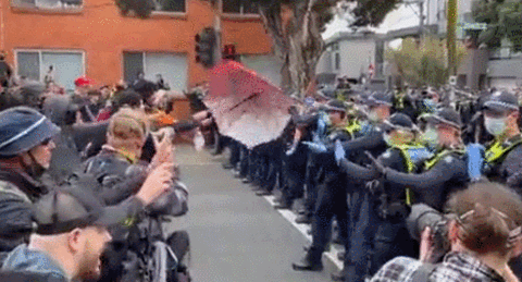 澳大利亚“反封城”游行失控 示威者冲破警方人墙引发混战