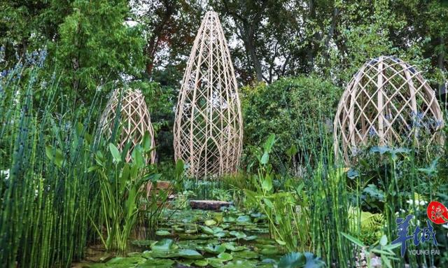 160年来首次 广州花园 荣获英国切尔西花展金奖 全网搜