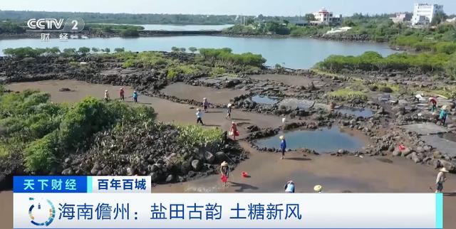 海南！海南！这座“可盐可甜”的城市，打造海南自贸港重要增长极