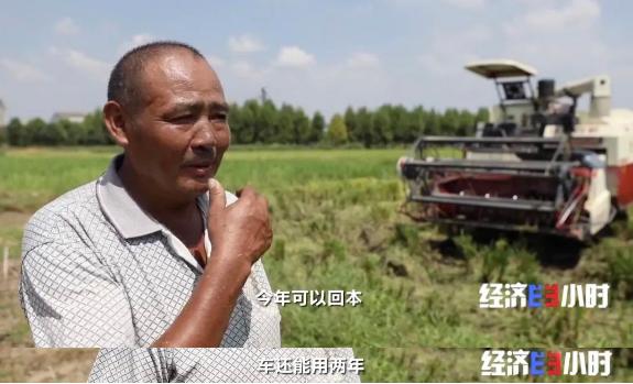 丰收在望！他一手种始200多亩稻田，年收益超20万！种田，这么“赚”→