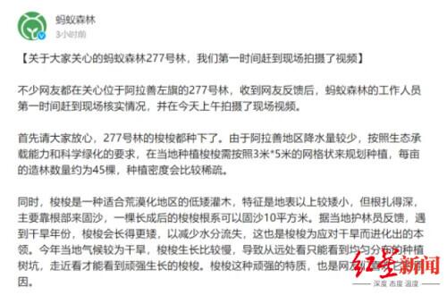 “蚂蚁森林”被疑造假背后：在阿拉善，下雨就像下黄金一样