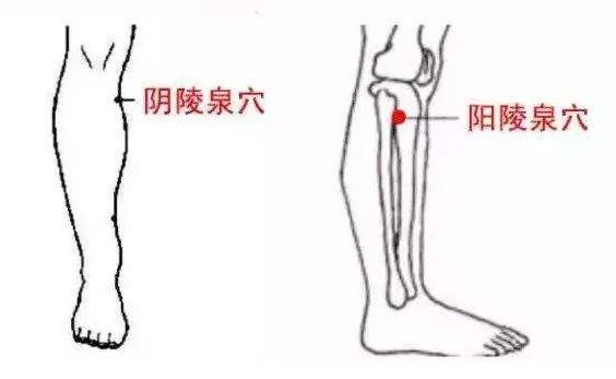 每天“揉地筋”、“跪走”，养足你的肝气，自然百毒难侵