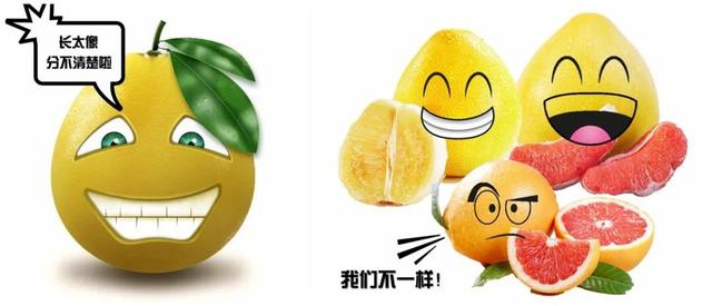 “柚”来征战地 不见有效还——这些药可别和柚子一起吃