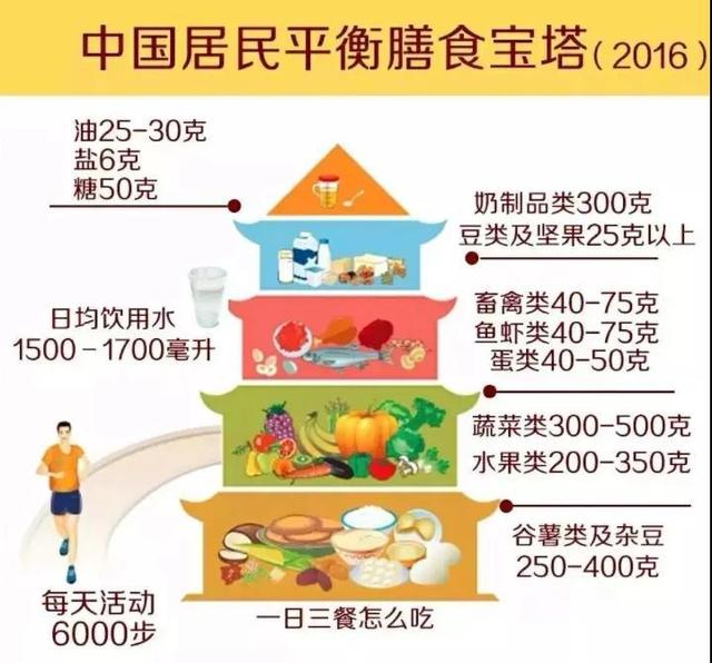 一顿吃多少最健康？点进来跟我学，让你“了如指掌”