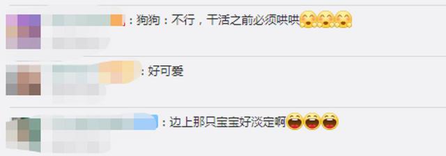 可爱！上海地铁站警犬卖萌求抱抱，警官摸脸好温柔