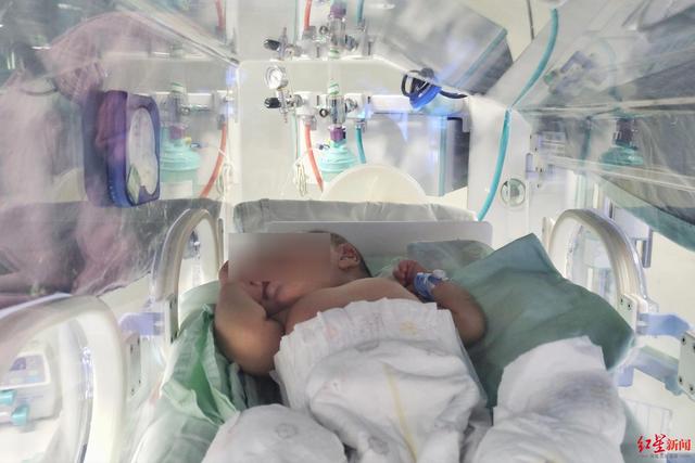 家长用菜汤冲奶粉给宝宝喝，结果孩子身体紫成“茄子”，中毒入院