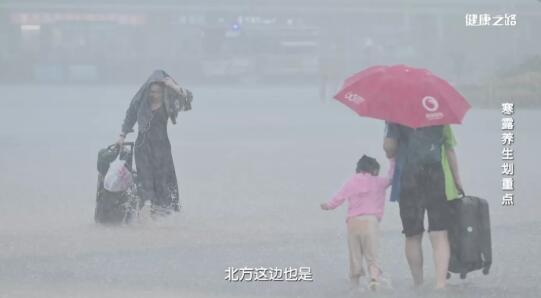 寒露天气转凉、湿气加大，养生重点要牢记