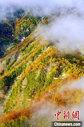 張張壁紙！快來下載屬于你的秋雪六盤山美景