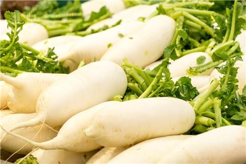 久久重阳节，养生有妙招