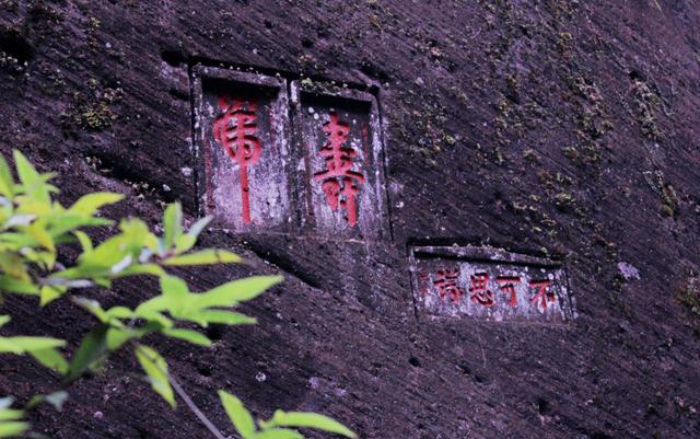 重阳节｜一杯长寿茶，敬长辈