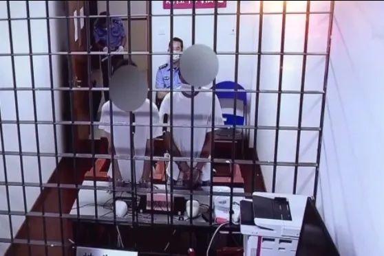 “薅羊毛”又出新套路，送鸡蛋还能赚钱？