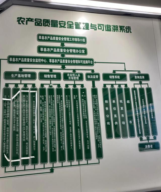 莘县，一张“蔬菜名片”的诞生