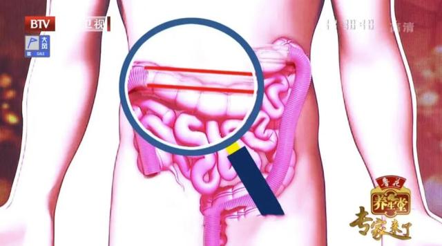 容易便秘、腹泻？小心肠道老化了！调理肠道两步走，为肠道“减龄”添活力