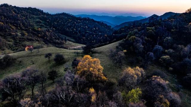 今日霜降 | 二十四节气里的中医智慧