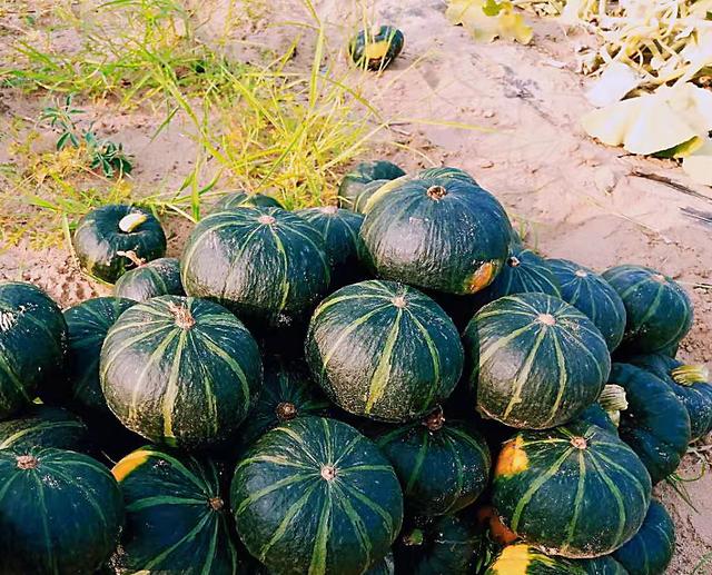 立冬将至，家里有孩子记得多吃8种食物，增强抵抗力，好吃又不贵