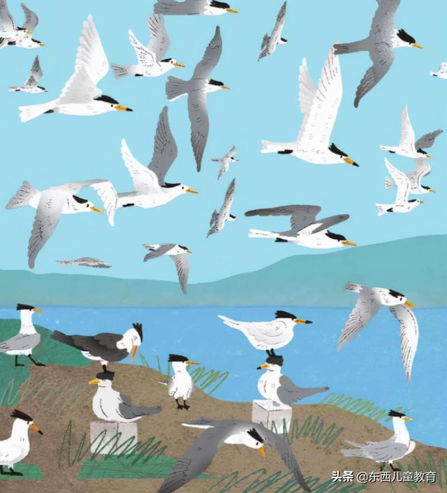 重视这一类阅读，孩子的阅读就有底气了