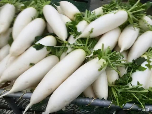 冬天吃什么蔬菜、水果比较好？要想冬季养生，不妨来看看