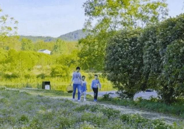 腾讯元老魏震抛弃名利，携全家隐居紫蓬山，如今拥有200亩的庄园