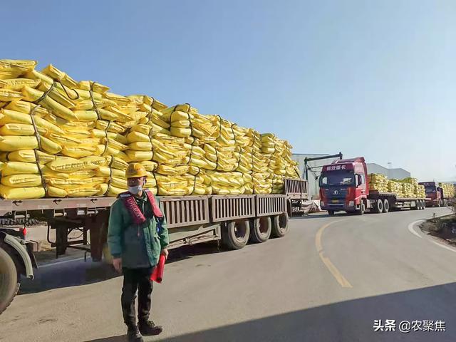 冬储春销肥价是涨还是跌？