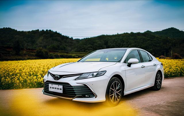 10月轿车销量：你以为的大跌 其实新能源车开始替代了