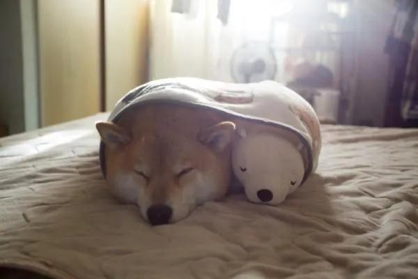 今日立冬，与大家聊聊冬季健康管理的要点