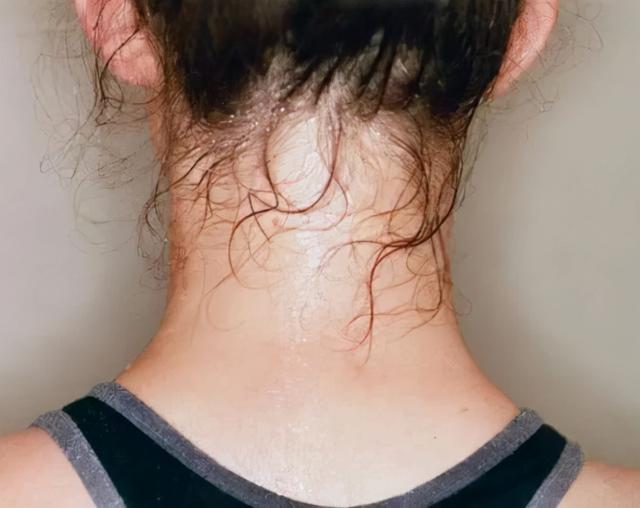 清调补的功效和作用（盐蒸房内的清调补原理）