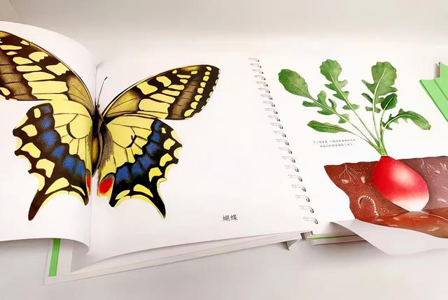 把四季装进书中 8套与季节有关的绘本大盘点