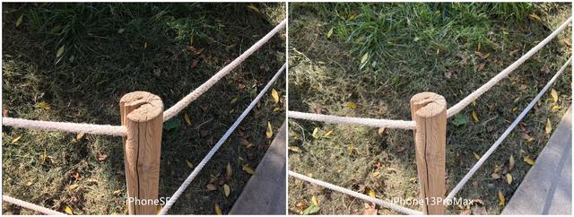 iPhoneSE和iPhone13ProMax拍照对比：都是1200万像素差距有多大