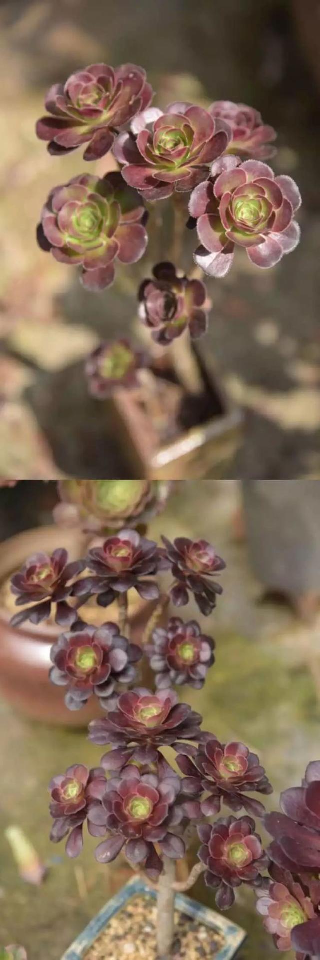 影片剧照