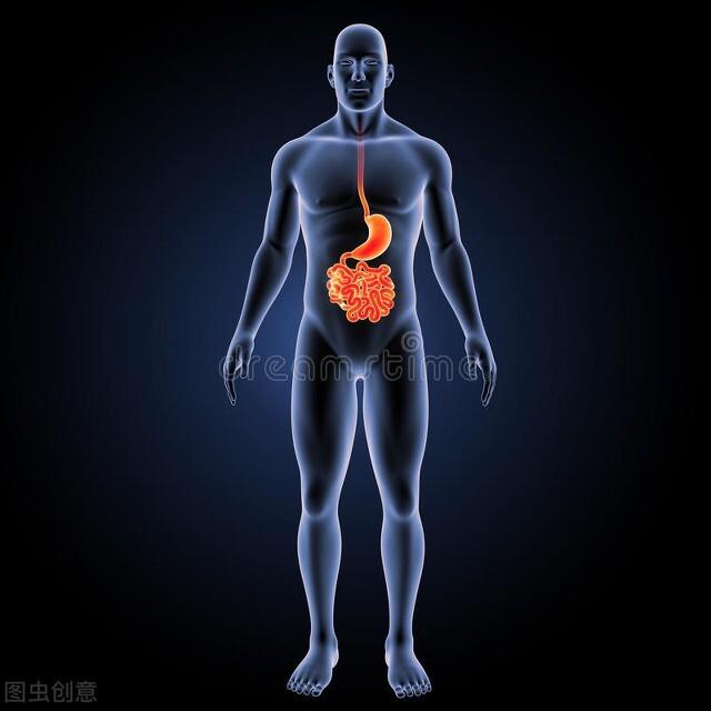 喝粥就能养胃？调理胃肠疾病要因人而异