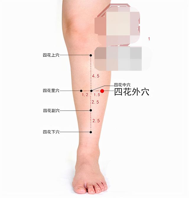 中医针灸口腔、牙齿疾病处方1