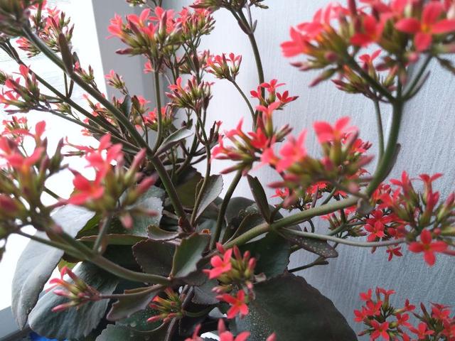 老年人在日常生活中，做好二事，有宜于健康长寿