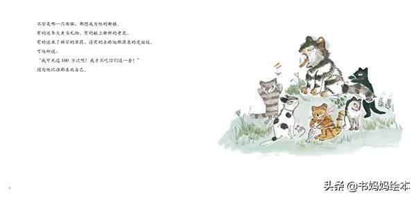 猫咪主题绘本推荐｜和孩子一同打开喵星人的世界