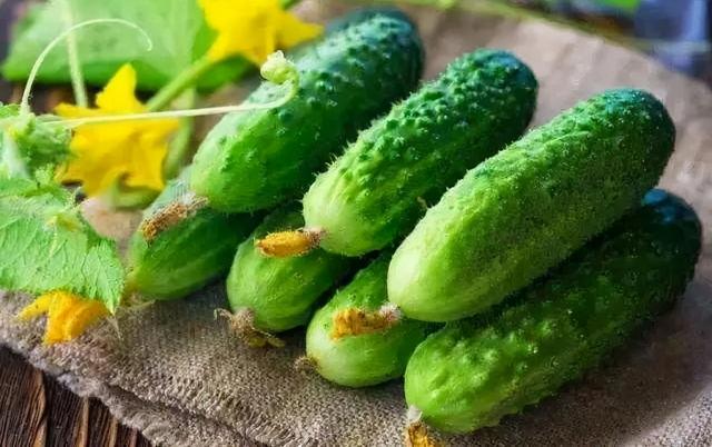 秋季“五瓜”要多吃，补水润燥有营养，常吃好处多，顺利度秋