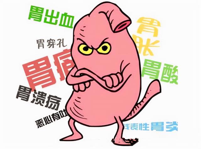 如何养好我们的胃，听听老中医怎么说？