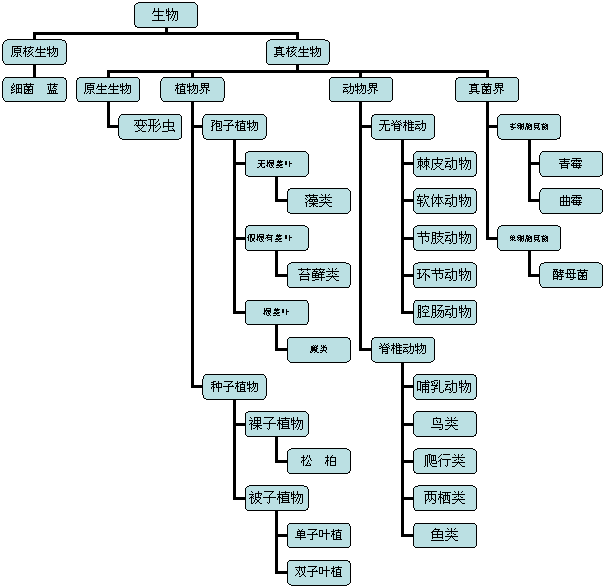 人類是什麼時候開始稱霸地球的 我們祖先的征服究竟有多殘忍 中國熱點