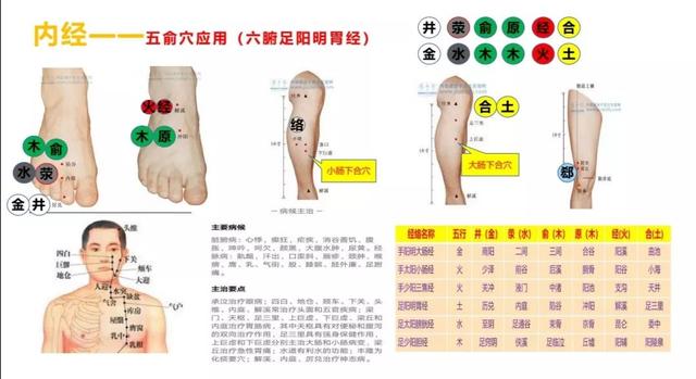 五输穴的位置及应用