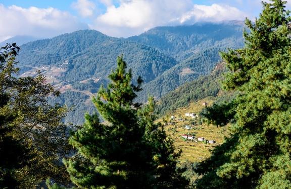 我的人生 父母双亡乡邻照顾长成人 打工遇贵人 励志抱得美人归 全网搜