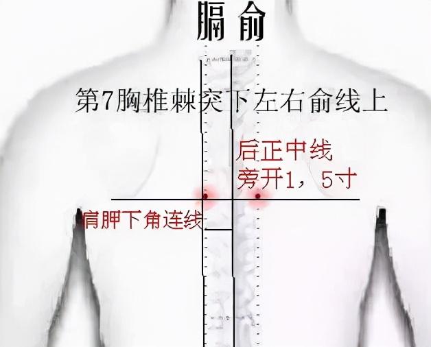 九种体质你到底属于哪一种，又该怎样调理？中医陈莹告诉您