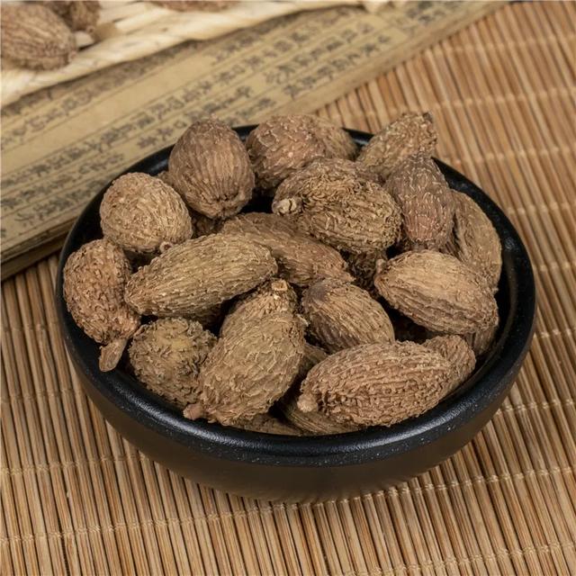 养生知药 | 砂仁