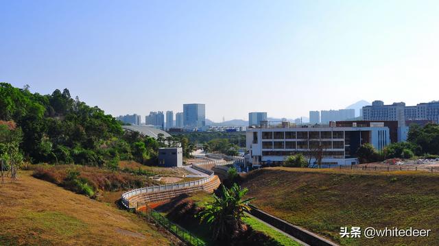 步行绿道 - 深圳龙岗 大运绿道